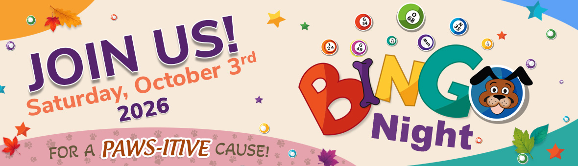 Bingo Night 2026 Save the Date banner