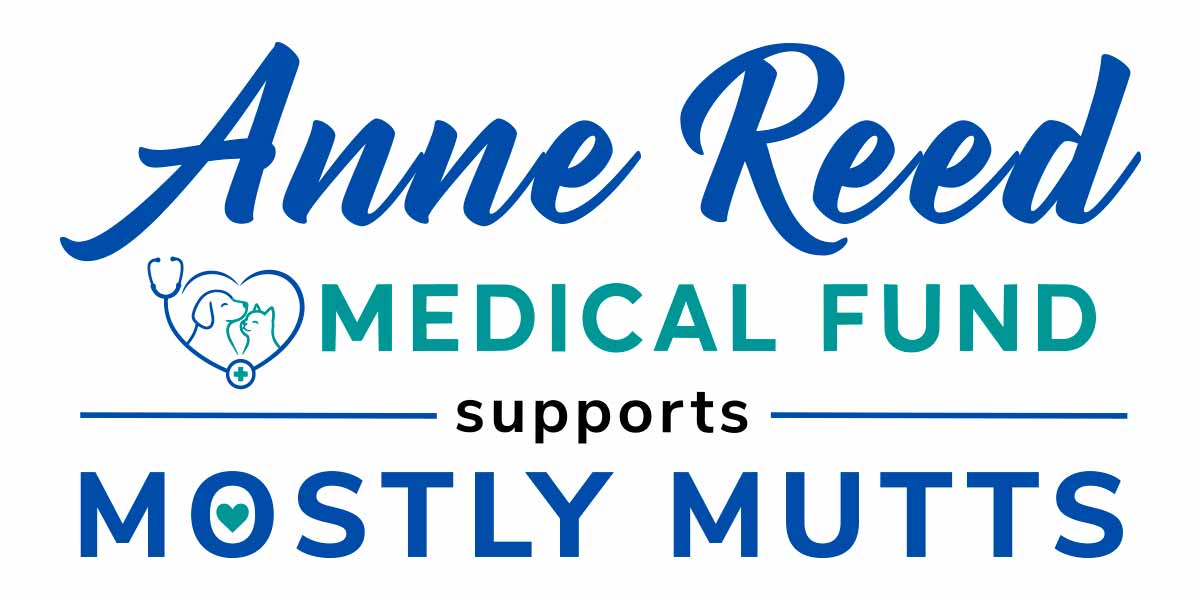 Anne Reed Medical Fund