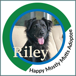 Riley Logo