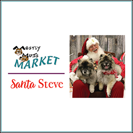 Santa Steve Logo