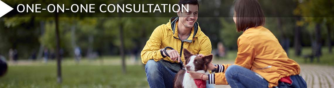One On One Consultation Header
